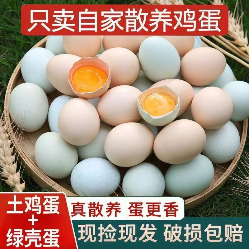 粉绿混装50枚苏北山地散养正宗农家新鲜营养土鸡蛋现捡现发