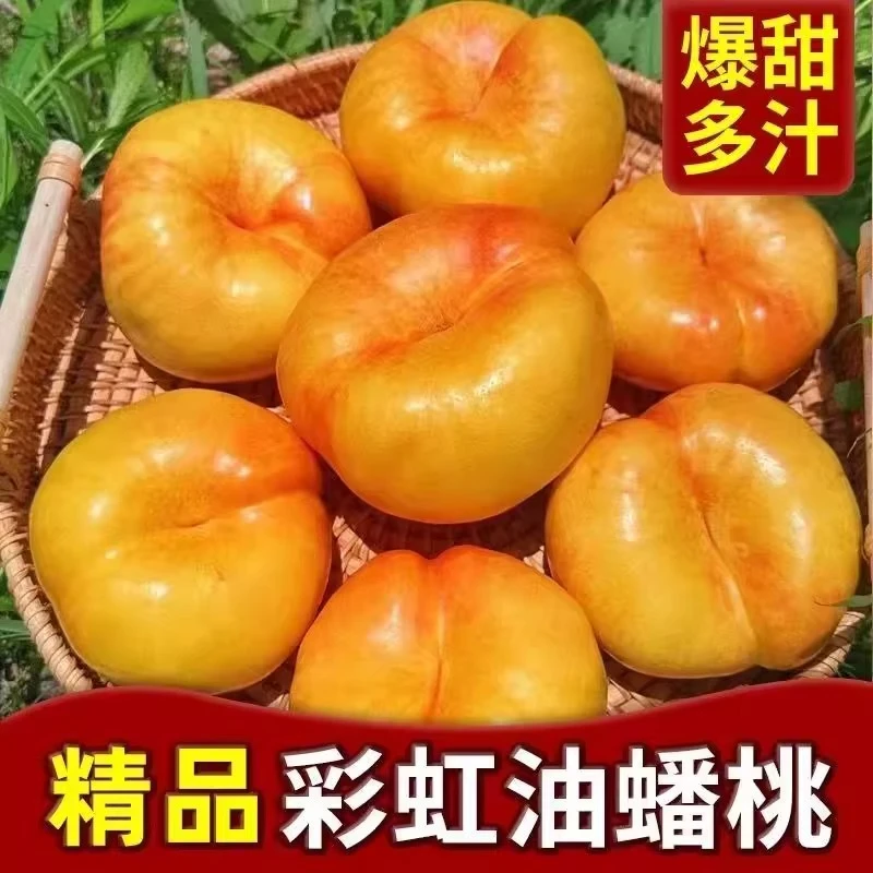 陕西油彩虹蟠桃当季时令水蜜桃扁桃蟠桃整箱包邮现摘新鲜孕妇水果