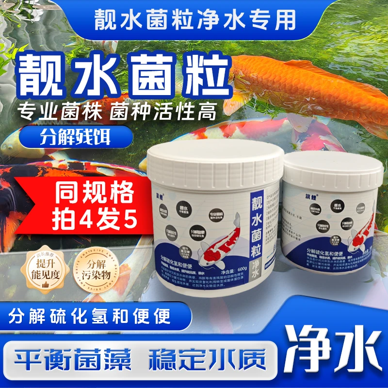 旗鲤靓水菌粒鱼池净水改底除臭分解鱼便稳定水质有益菌【新奇宠物】