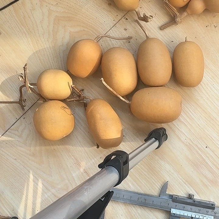 明***】葫芦冬瓜专属链接