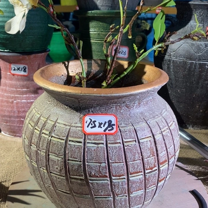 【闪购商品】正品现货