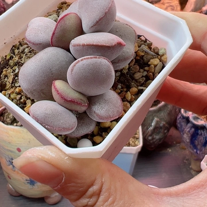 可以吗你说你不知道吗我