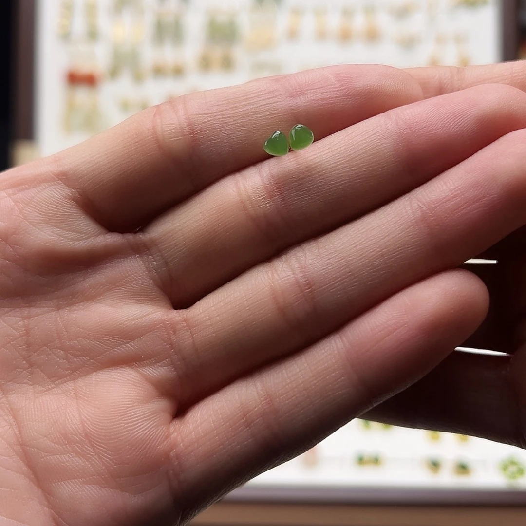 银S925镀金镶嵌和田玉耳饰