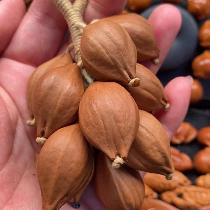 手串/手链橄榄核福利来