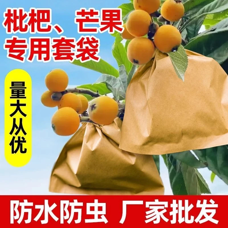 枇杷套袋袋梨袋桃袋芒果柑橘脐橙柚子套袋苹果水果套袋枇杷袋