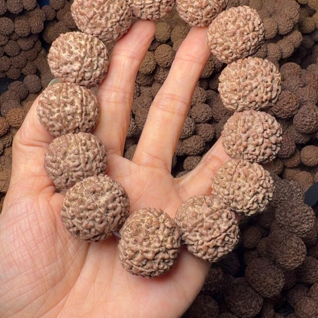 金刚菩提手串8瓣卡27尺，143号