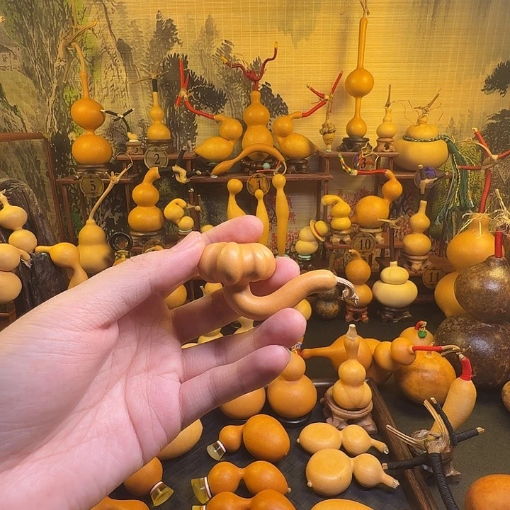 费***用葫芦葫芦葫芦葫芦