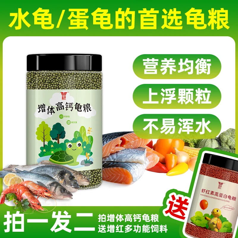 鼎足水龟蛋龟黄缘火焰三线白巴发色龟粮内喷油不浑水