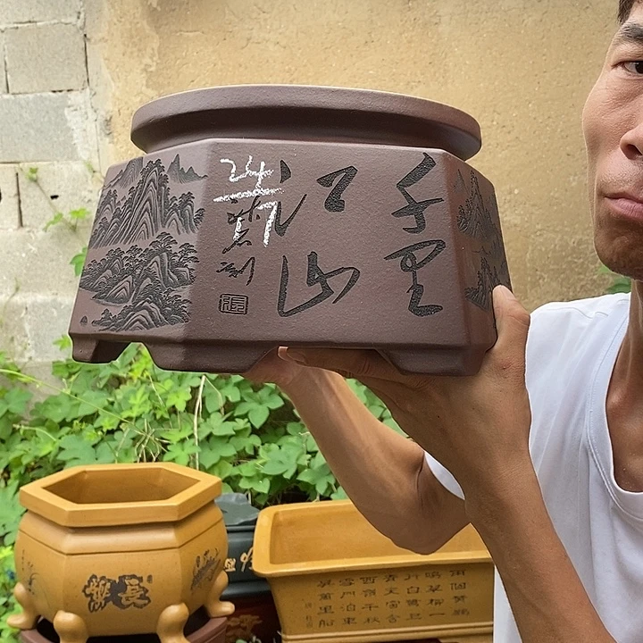 花盆紫砂你在哪一个人的时候我