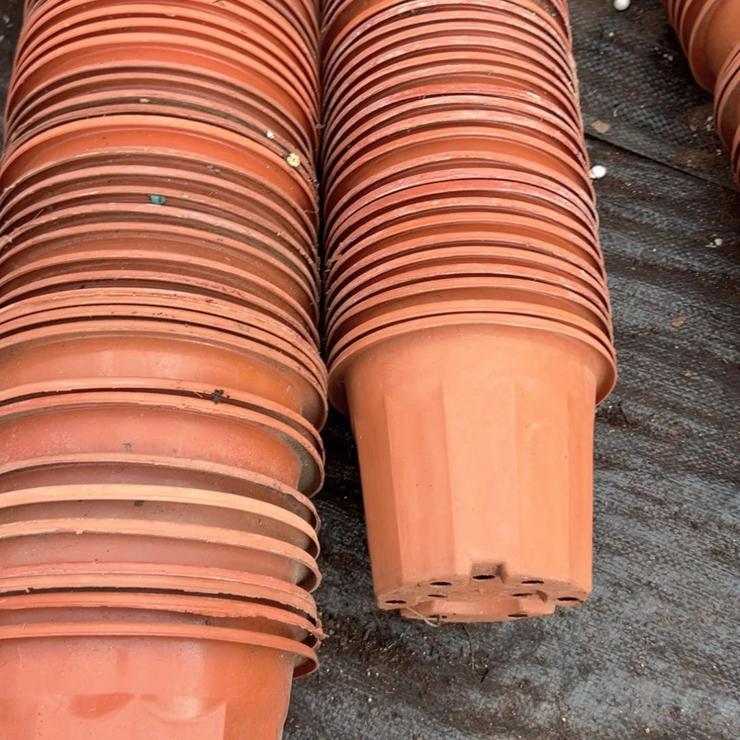 红砖盆16口径13高 10个