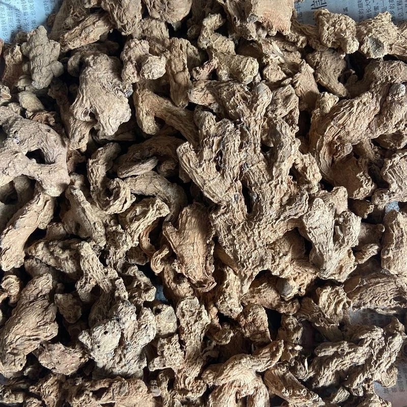 【潮汕百日姜】正午瓦晒百日姜适合时节享用