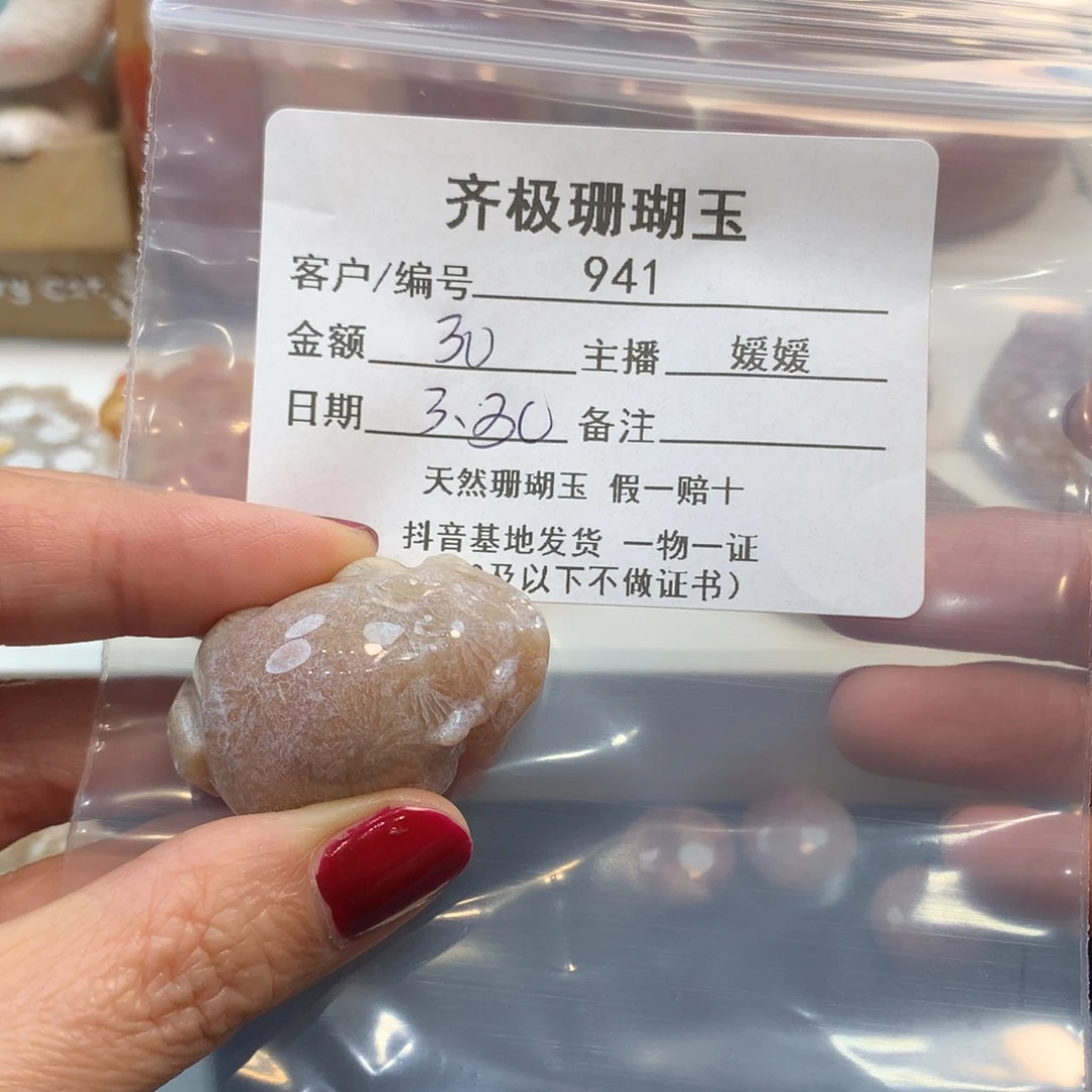 硅化珊瑚（珊瑚玉）未镶嵌颈饰过*