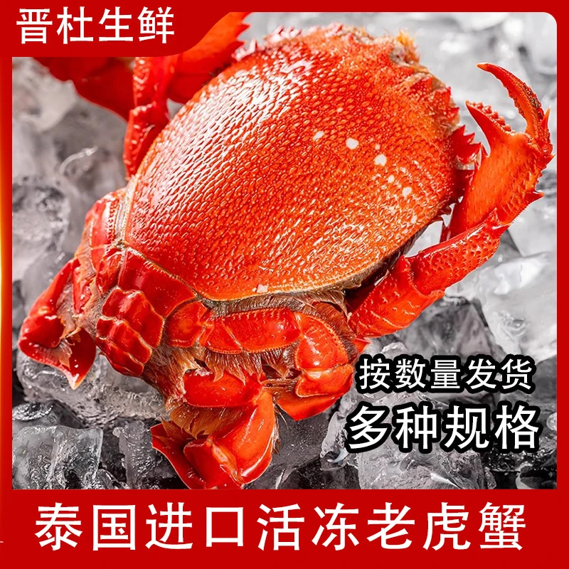 【冻蟹】发10只2-4两/个总重2斤以上泰国进口海捕老虎蟹顺丰冷链