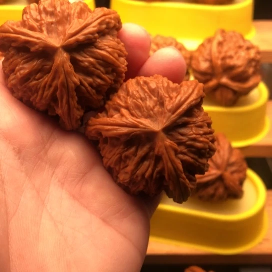 哪***@核桃核桃核桃核桃