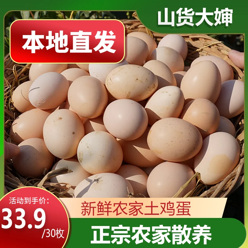 山货大婶土鸡蛋新鲜土鸡蛋正宗农家散养土鸡蛋柴鸡蛋笨鸡蛋