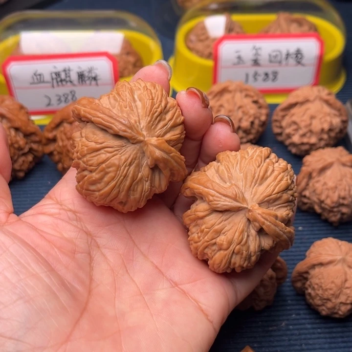 文玩核桃吊坠45白狮子全品