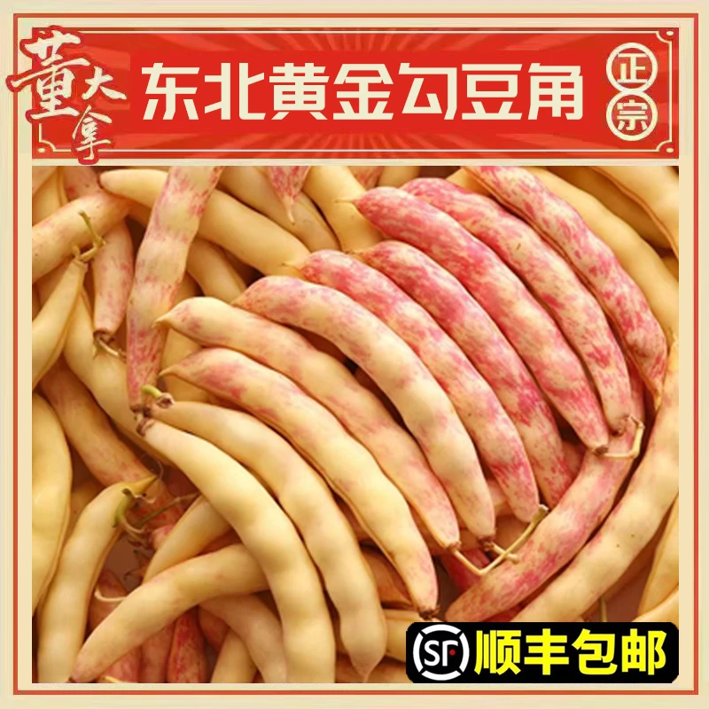 东北新鲜红金勾豆角黄金勾豆角全是豆现摘现发包邮