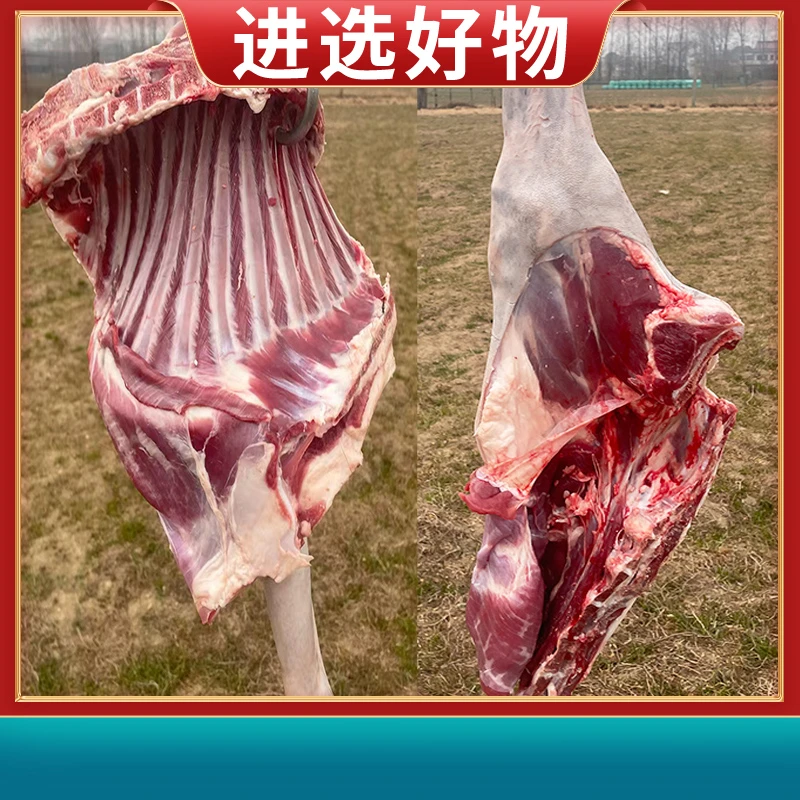 【进选好物】[4]羊肉 现切现秤 1-50号（非活物）