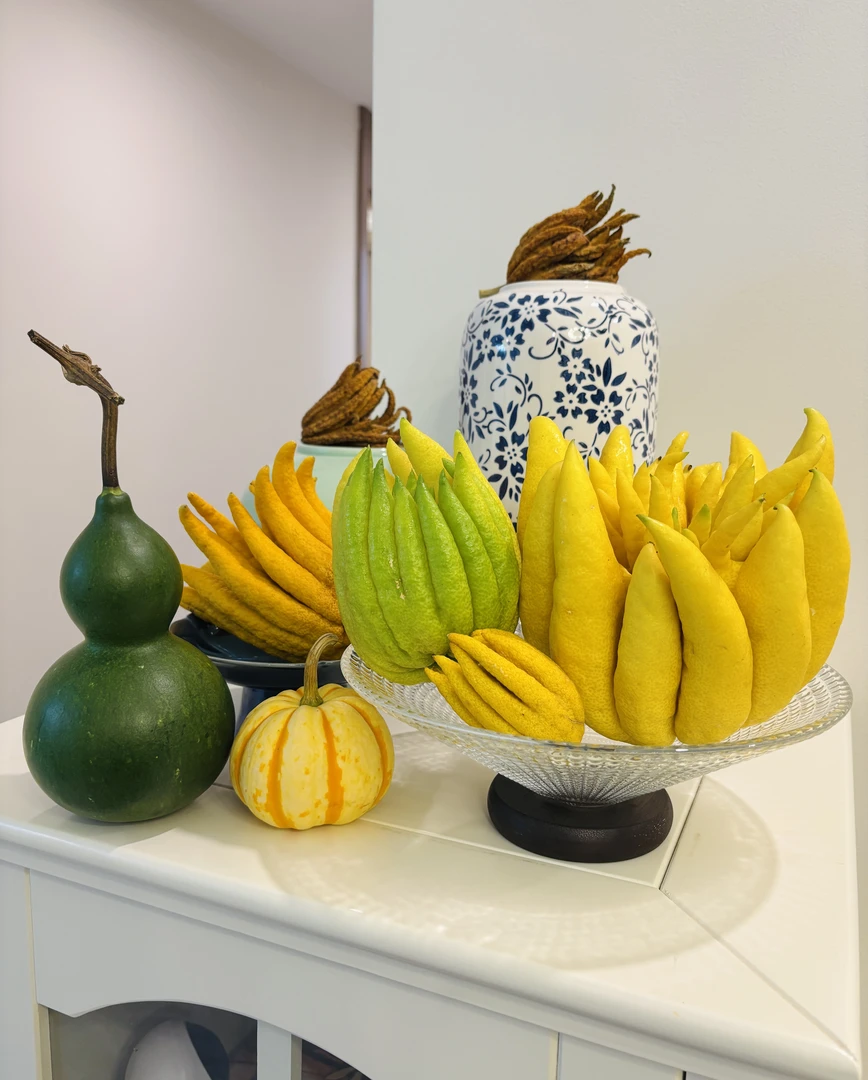 尊享果（4-5斤）【大姐夫云南佛手】基地直采直发高端花材观赏闻香22A