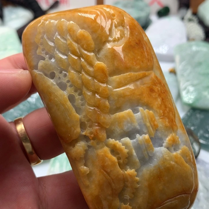 颈饰未镶嵌翡翠保真天然a货翡翠