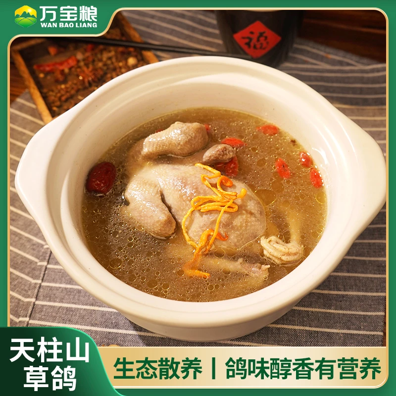 万宝粮顺丰/京东包邮天柱山草鸽每只7两以上草鸽散养鸽