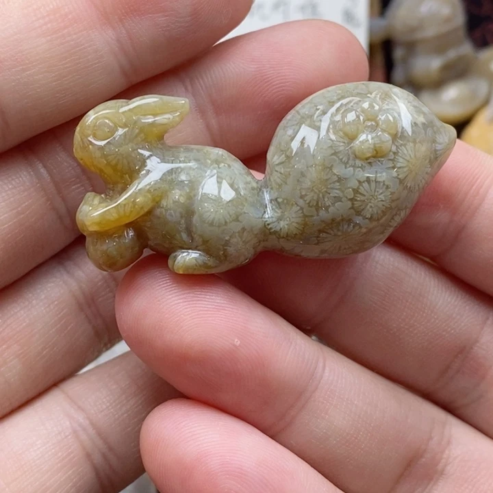 硅化珊瑚（珊瑚玉）颈饰未镶嵌