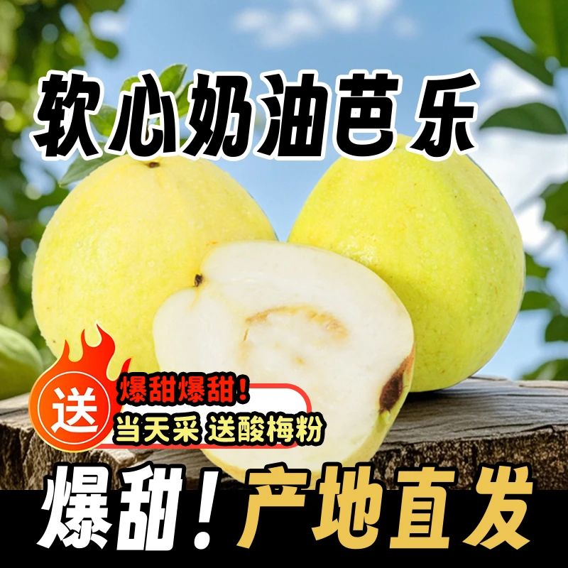 广西新鲜摘脆软两吃白心奶油芭乐软糯清甜原生态水果低糖低卡高VC