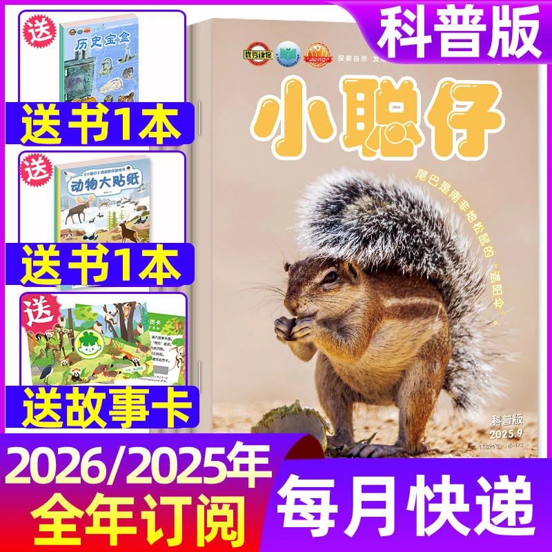 【全年】小聪仔科普版杂志2025年期刊订阅儿童科普杂志书籍D