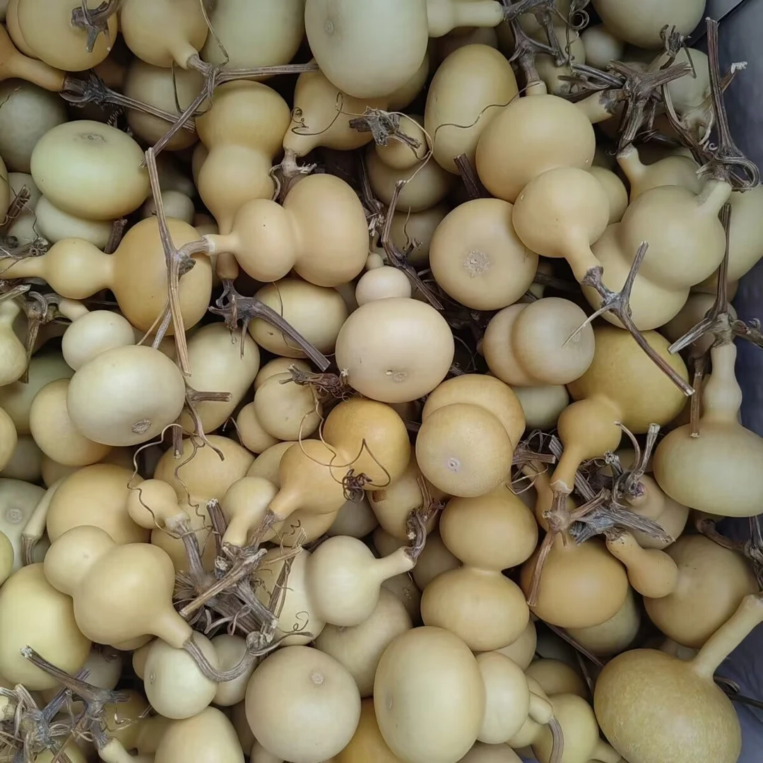 八宝葫芦体验装文玩素葫芦盘玩葫芦