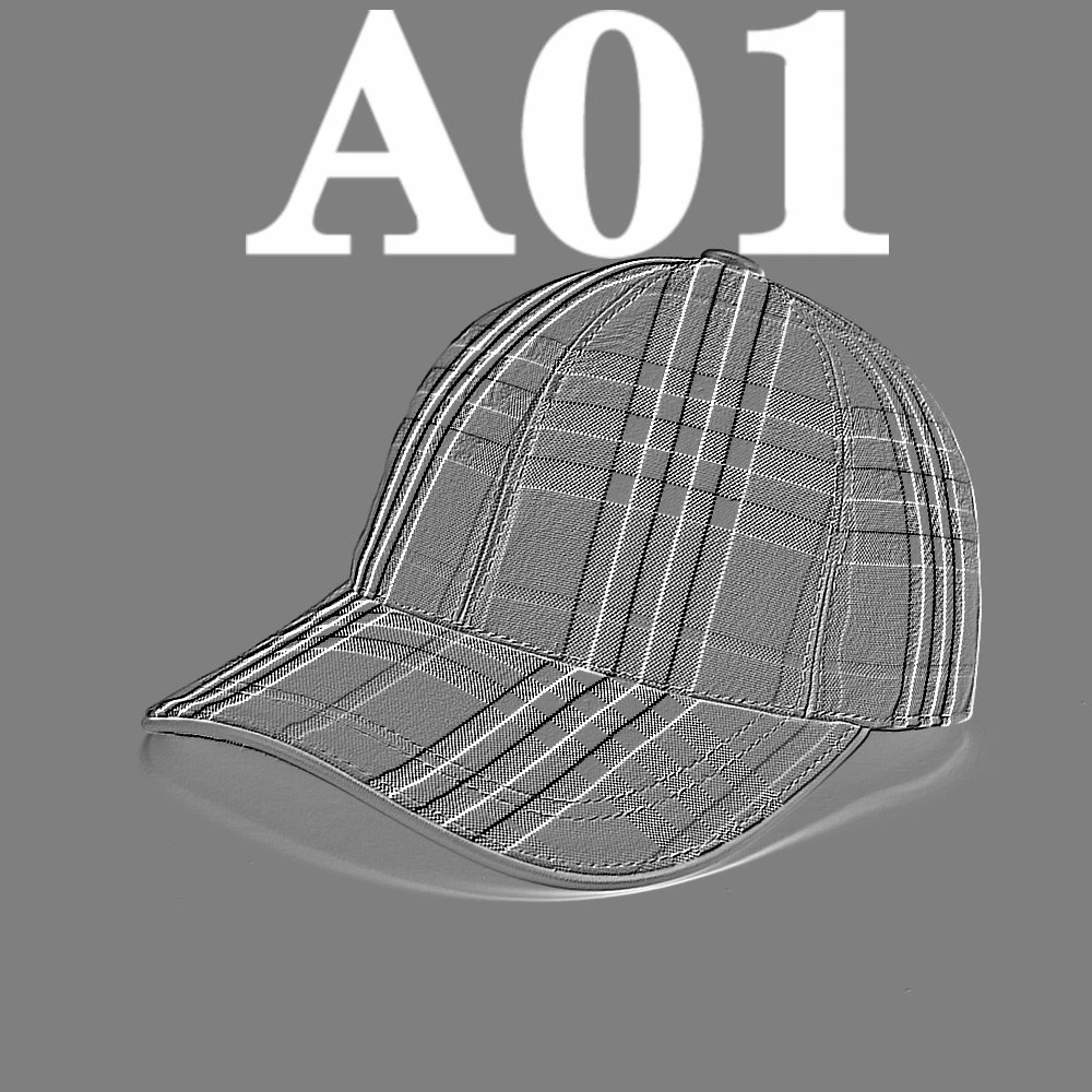 新款轻奢格纹棒球帽