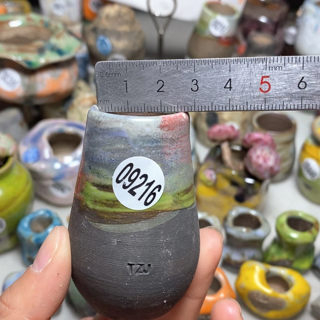 花盆拍5送一个小礼物