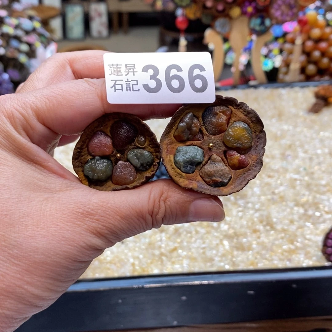 核桃木/黑胡桃（胡桃木）康****?366