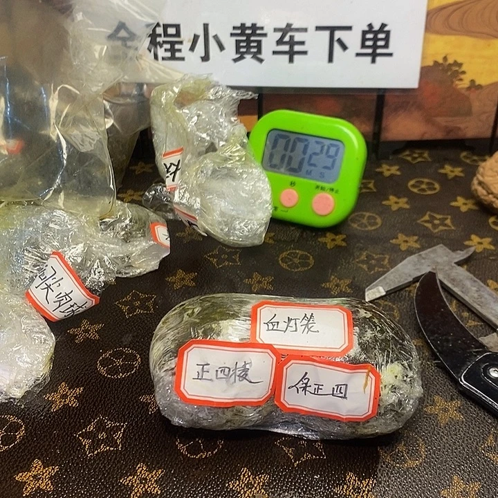 人****人生啊66666666666