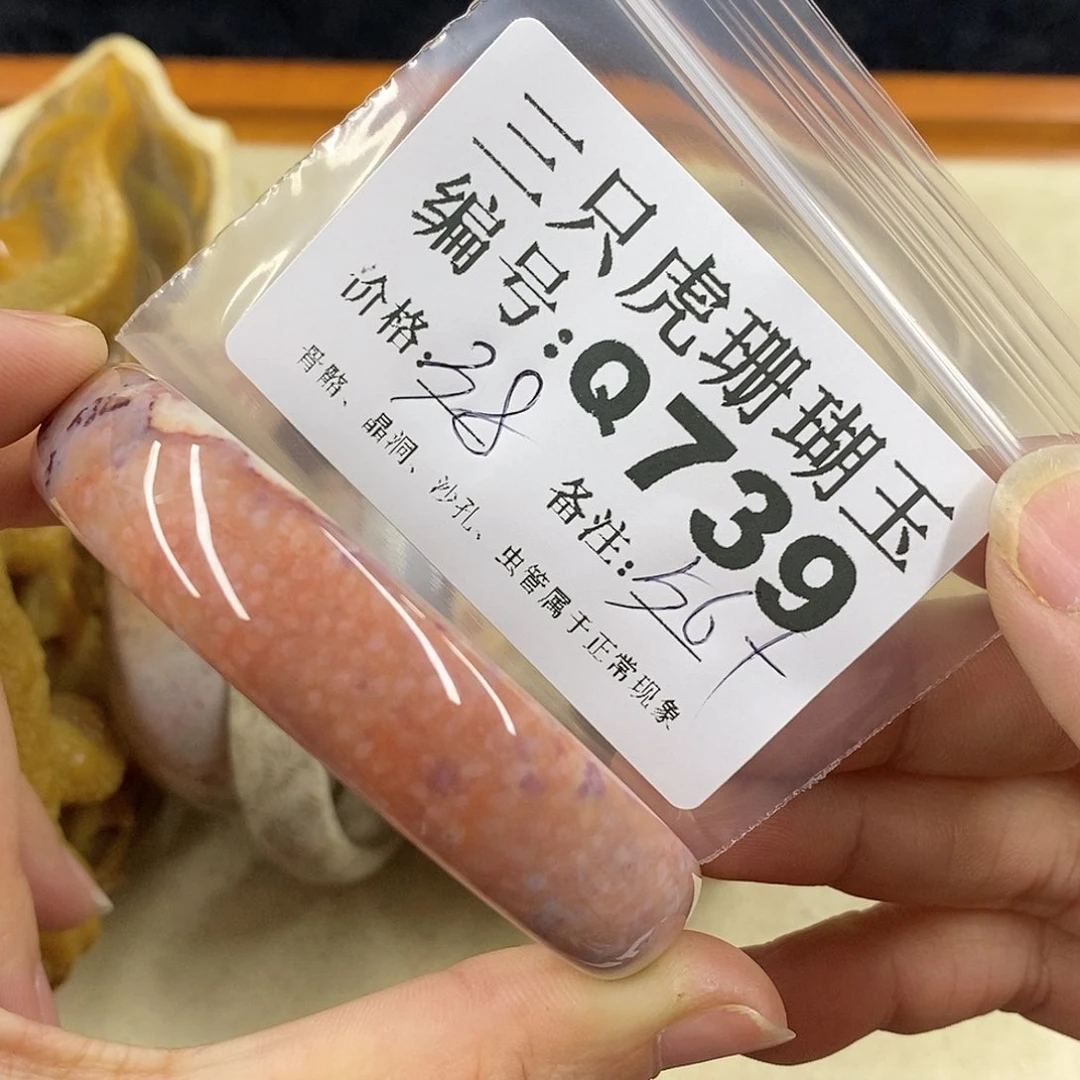 硅化珊瑚（珊瑚玉）1未镶嵌祥*