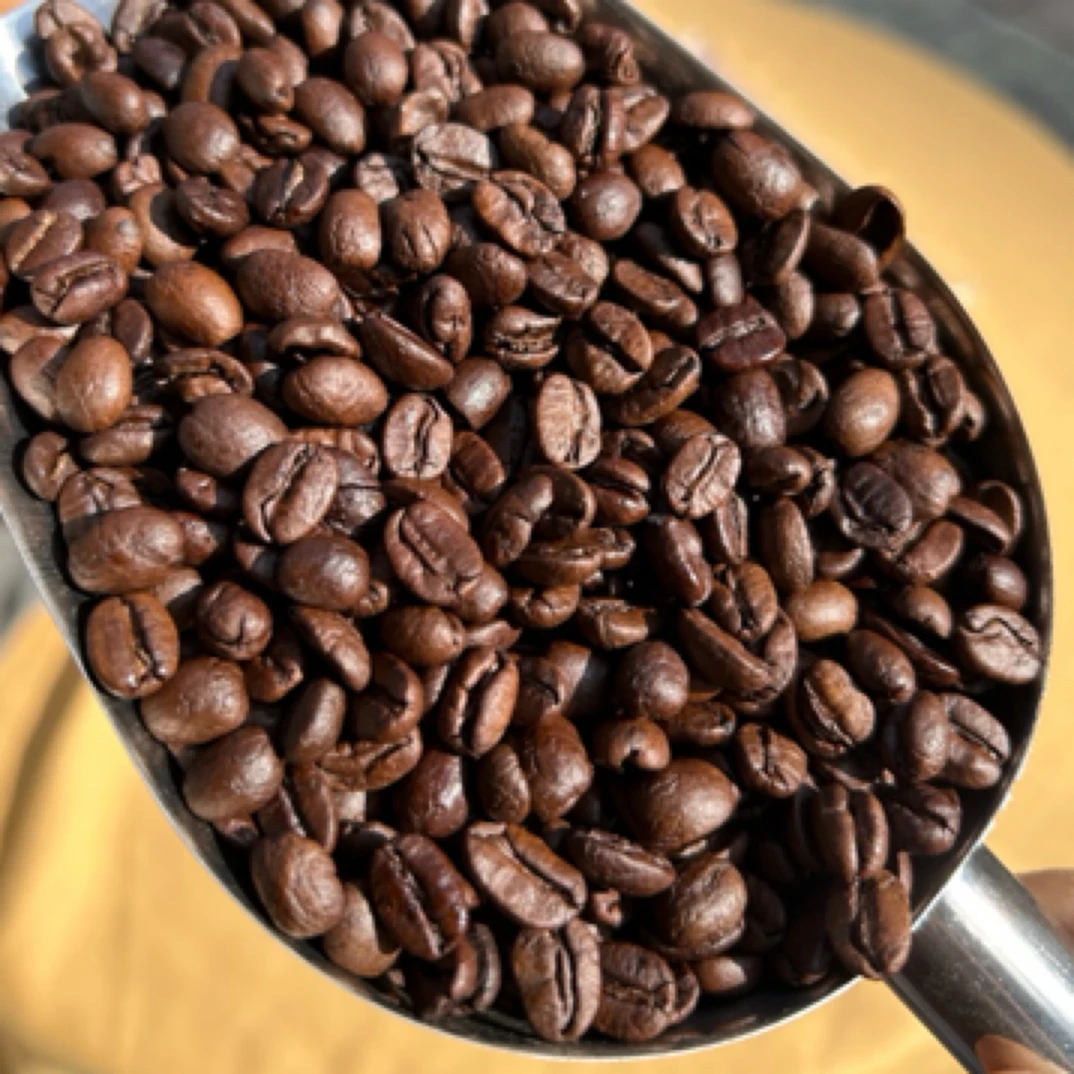 云南普洱卡蒂姆精品豆