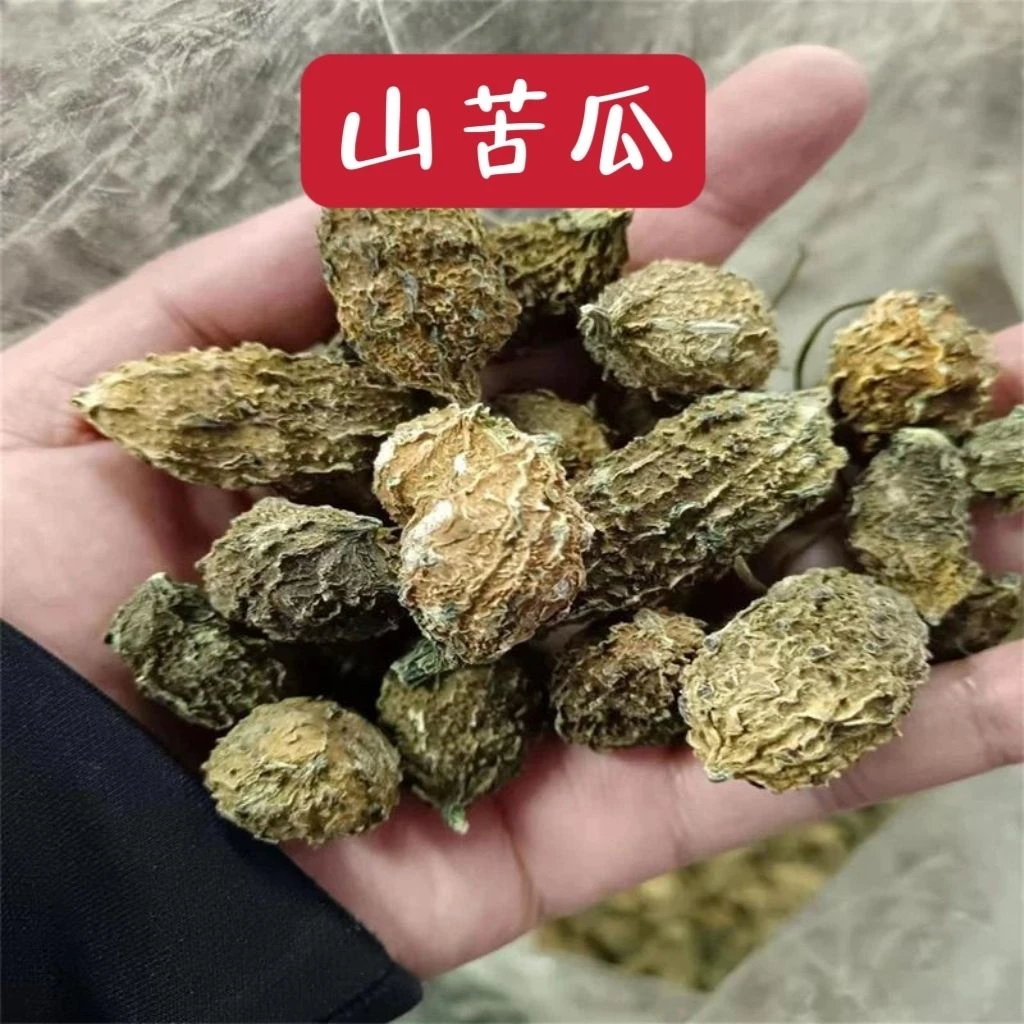 山苦瓜 云南土特产山苦瓜小苦瓜整颗农家50-1000克