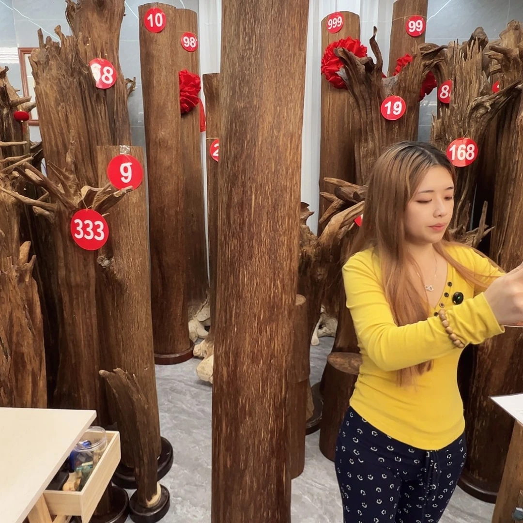 狼***王沉香摆件沉香原料