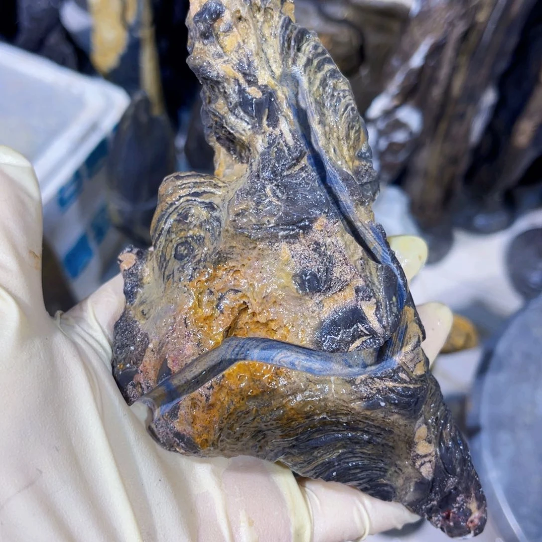 桂*开附石盆景一物一拍