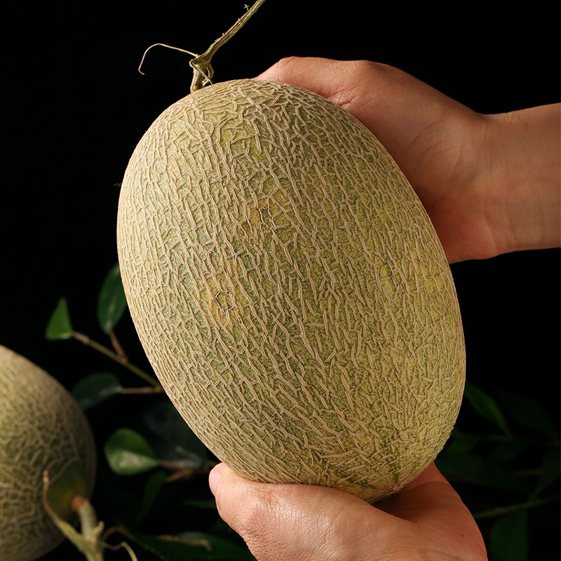 新疆吐鲁番西周蜜陆瓜现摘发应季水果脆甜多汁包邮哈密瓜老少皆宜