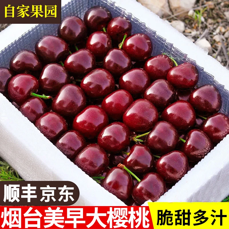 烟台大樱桃新鲜水果山东国产车厘子J应季斤