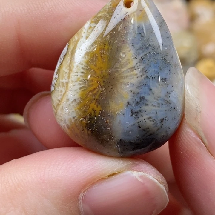 颈饰未镶嵌硅化珊瑚（珊瑚玉）有瑕