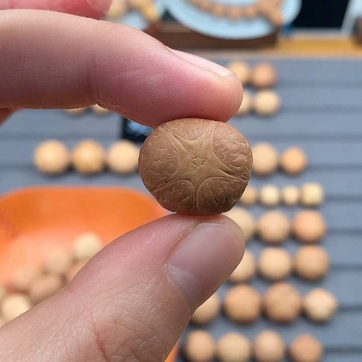 吊坠凤眼菩提20+五星，非质量问题开孔不退