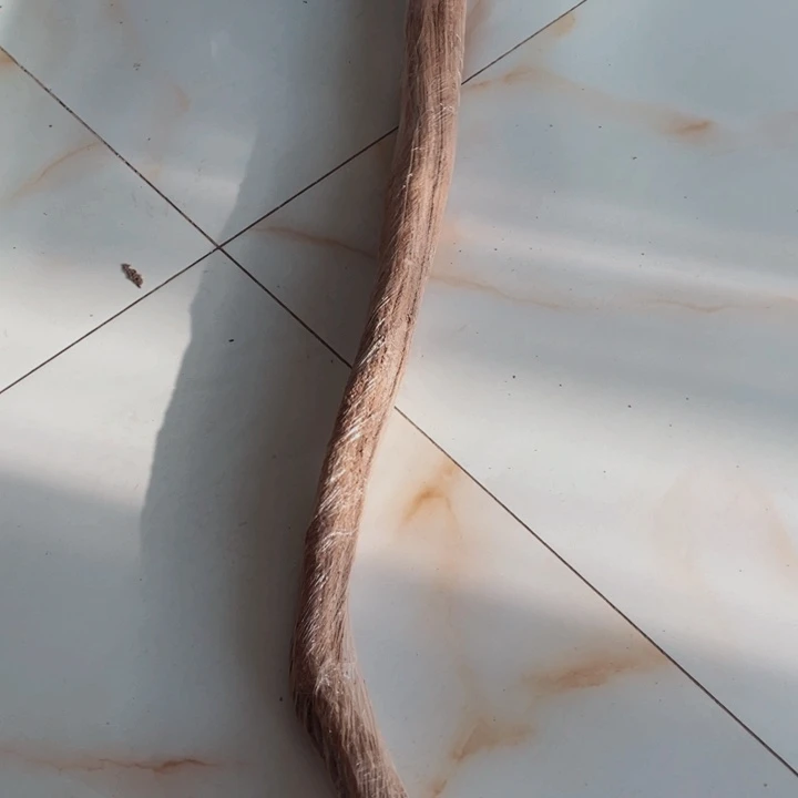 有机玻璃用****5木木木木木木