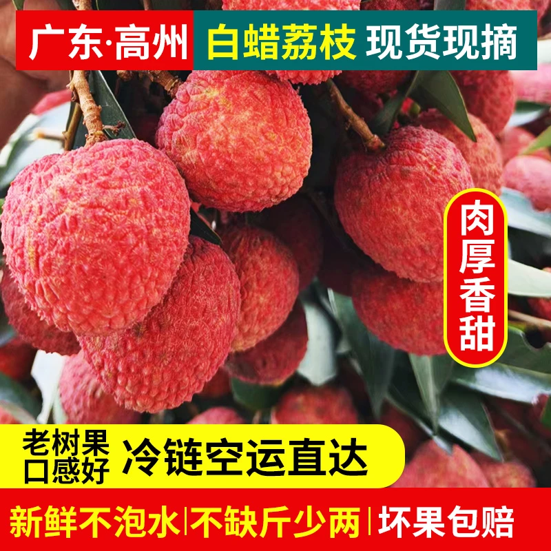 广东高州白蜡荔枝新鲜现摘现发京东冷链水果爆甜当季A果品质