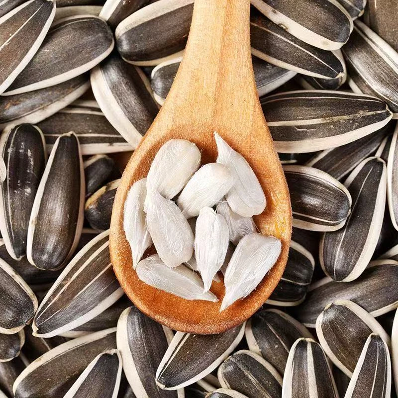 【2/5斤】原味生瓜子新货薄皮生葵花籽原味瓜子大颗粒散装零食