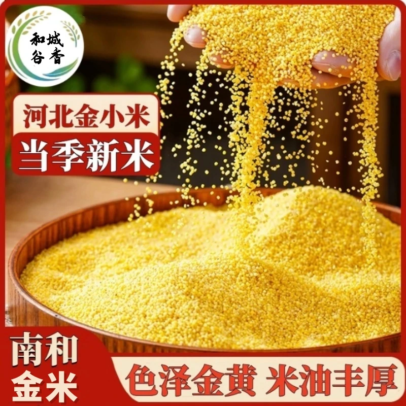 【2025年现磨新米】河北南和金米食品早餐农家新米熬粥米油优质杂粮