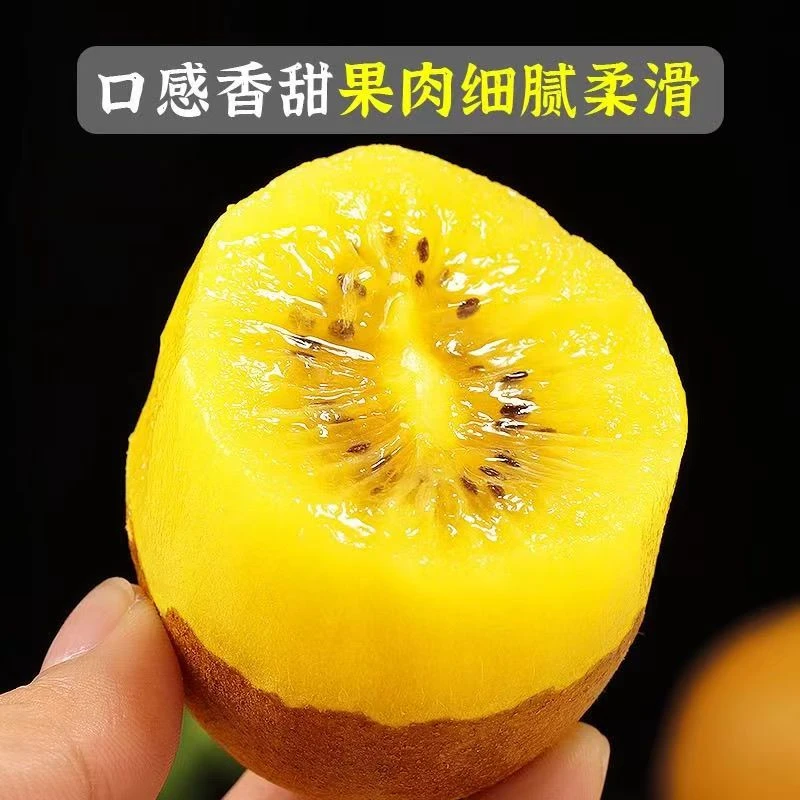 贵州黄心猕猴桃产地直发