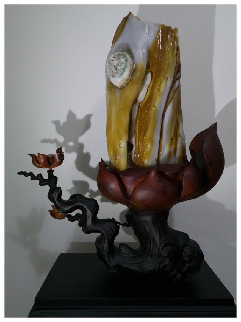 缅甸特色树化玉！