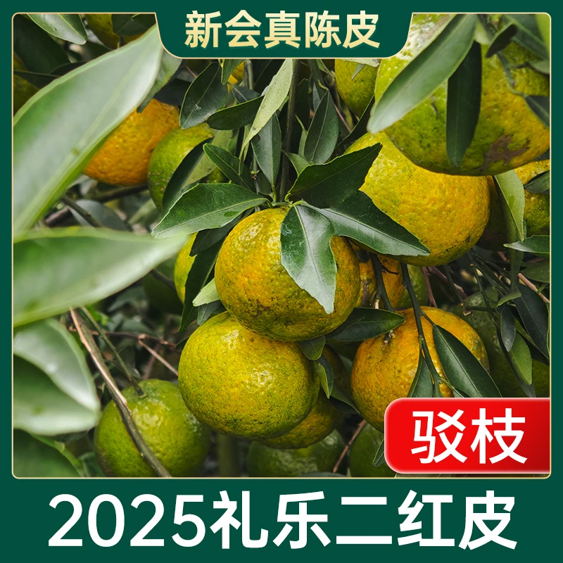 2025年礼乐【驳枝二红皮新皮】b茶枝柑新鲜现摘开皮生晒新会 陈皮
