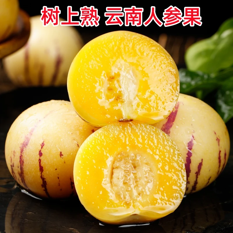 云南树熟人参果1斤小果